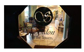 Company logo of Salon At the Towers