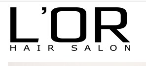 Company logo of L'OR Hair Salon