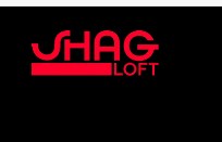 Company logo of Shag Loft Salon | Best of Boston Hair Salon | South Boston