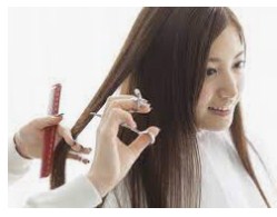 Japanese Hair Salon Defi