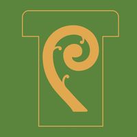 Company logo of Te kore jade