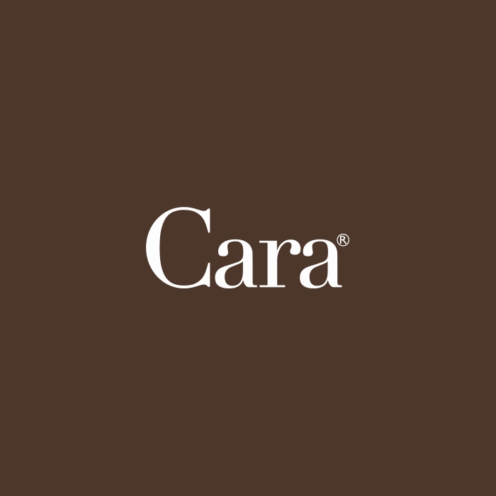 Company logo of CARA JEWELLERS