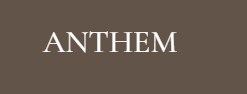Company logo of Anthem Hair Co