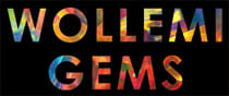 Company logo of Wollemi Gems