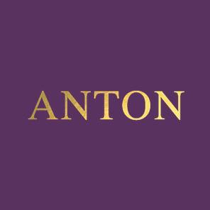 Company logo of ANTON Jewellery