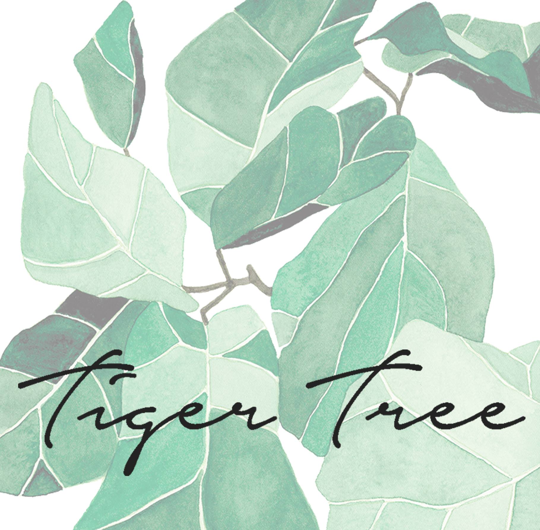 Company logo of Tiger Tree