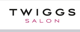 Company logo of Twiggs Salon