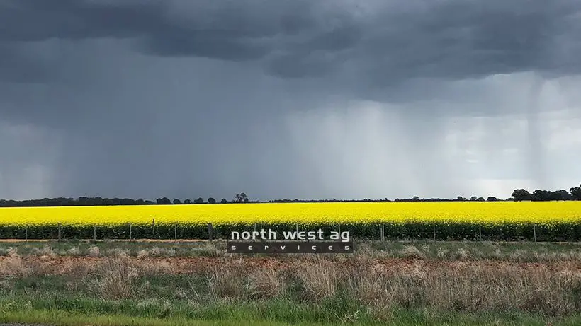 North West Ag Services