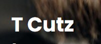 Company logo of T Cutz