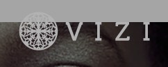 Company logo of Vizi Spa and Salon