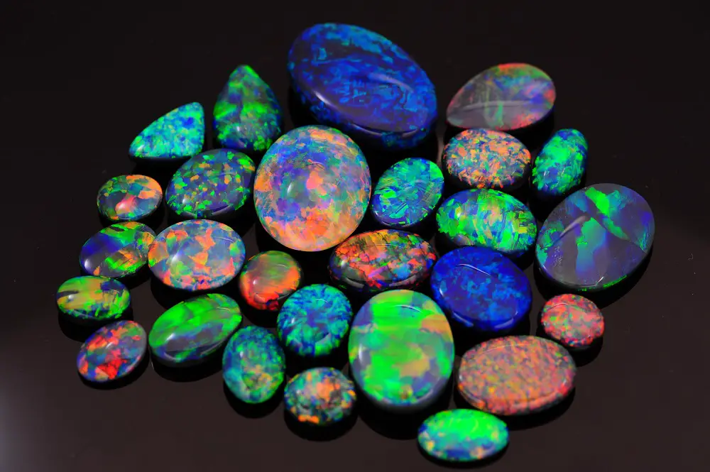 Cody Opal