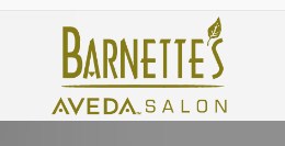 Company logo of Barnette's Salon