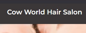 Company logo of Cow World Hair Salon