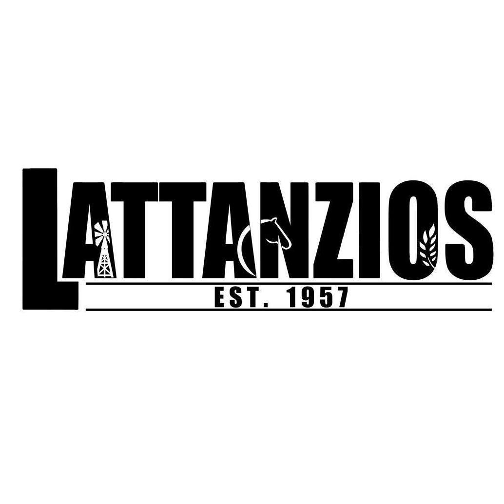 Business logo of Lattanzios Clothing, Footwear, Leathergoods & Saddlery