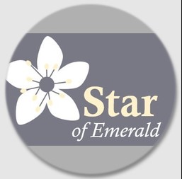 Business logo of Star Of Emerald