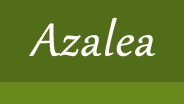 Company logo of Azalea Spa & Salon