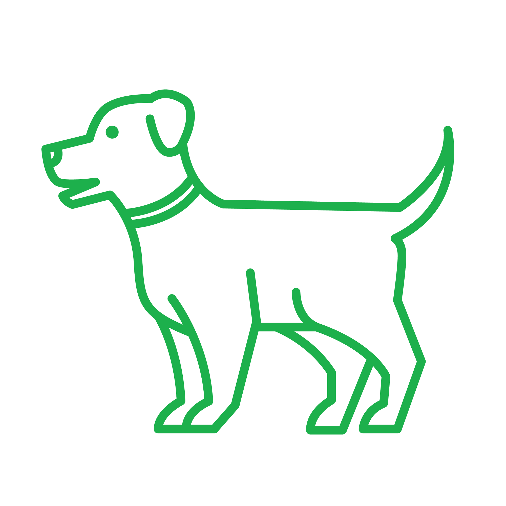 Business logo of Pet Supplies Plus Akron