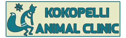 Business logo of Kokopelli Animal Clinic