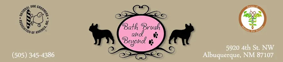 Business logo of Bath Brush and Beyond