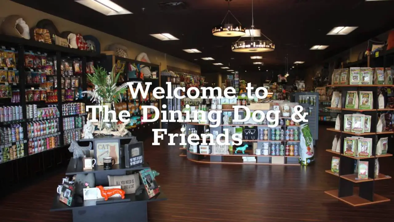 The Dining Dog & Friends