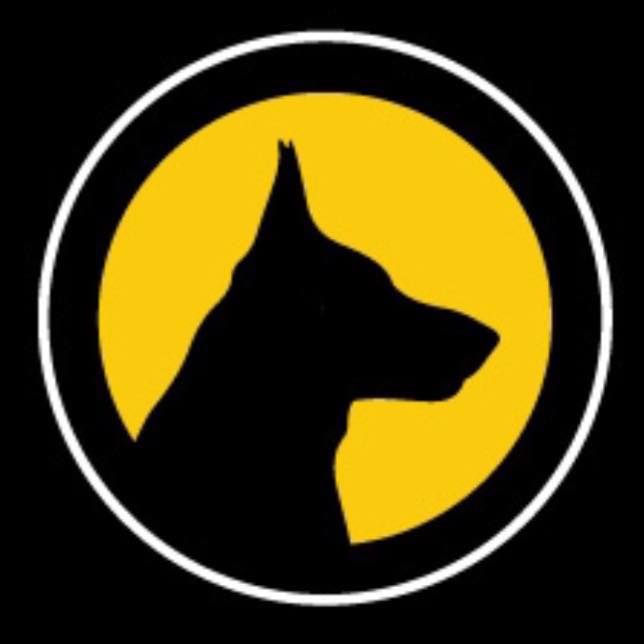 Business logo of Yellow City Pet Supply