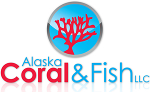 Company logo of Alaska Coral & Fish