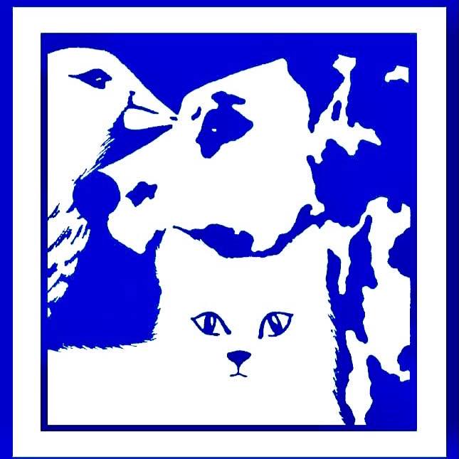 Company logo of College Village Animal Clinic