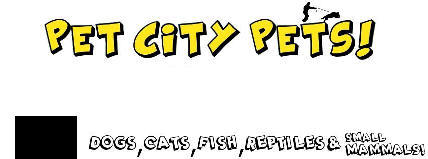 Company logo of Pet City Pets
