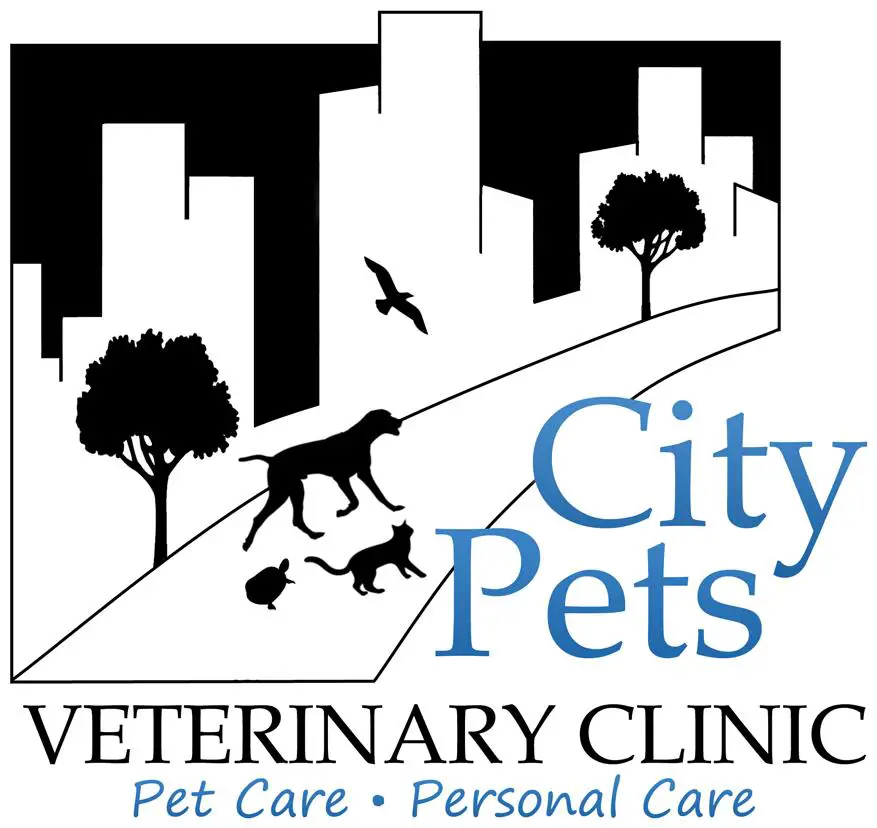 Company logo of City Pets Veterinary Clinic