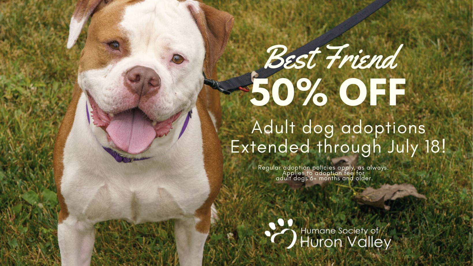 Humane Society of Huron Valley