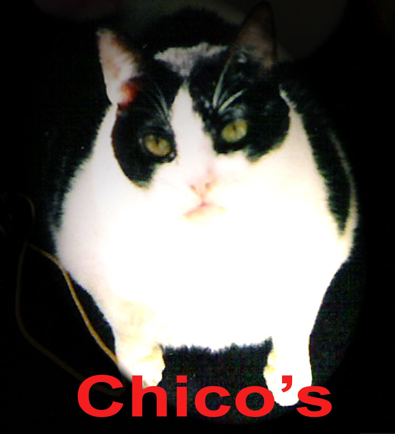 Chico’s Pet Depot