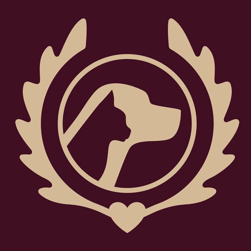 Company logo of Elysiem