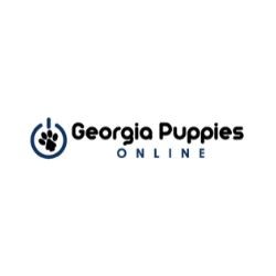 Company logo of Georgia Puppies Online