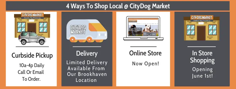 City Dog Market