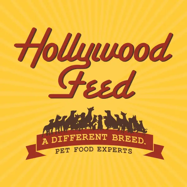 Company logo of Hollywood Feed