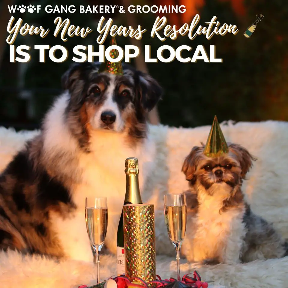 Woof Gang Bakery & Grooming Augusta