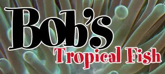 Company logo of Bob's Tropical Fish