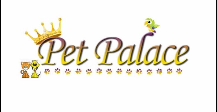 Company logo of Pet Palace