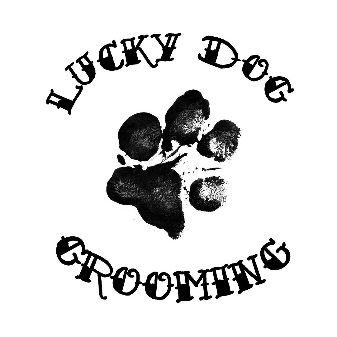 Company logo of Lucky Dog Grooming