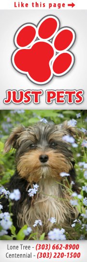 Company logo of Just Pets