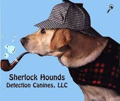Sherlock Hound Denver