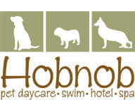 Company logo of Hobnob Pet