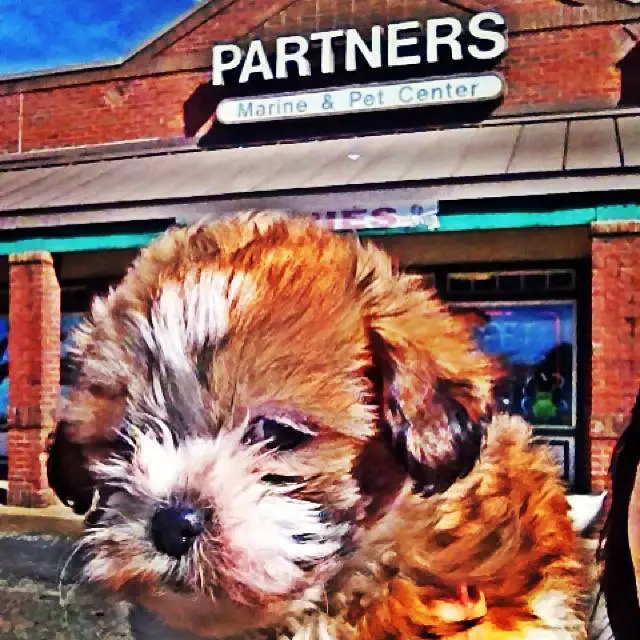 Partners Pet Center