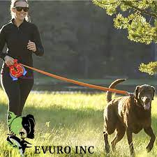 Evuro Inc