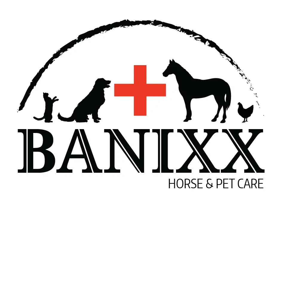 Company logo of Banixx