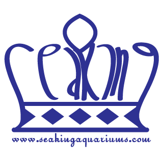 Company logo of Sea King Aquariums