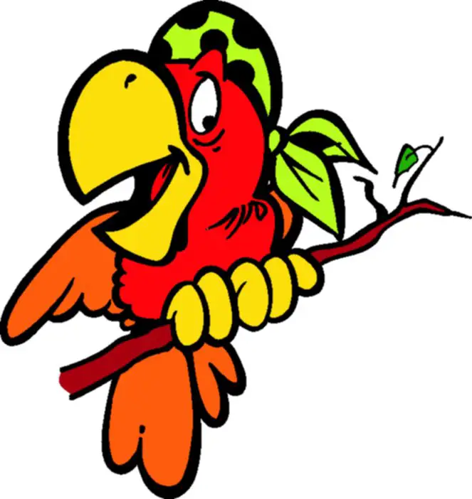 Company logo of Parrots N Stuff
