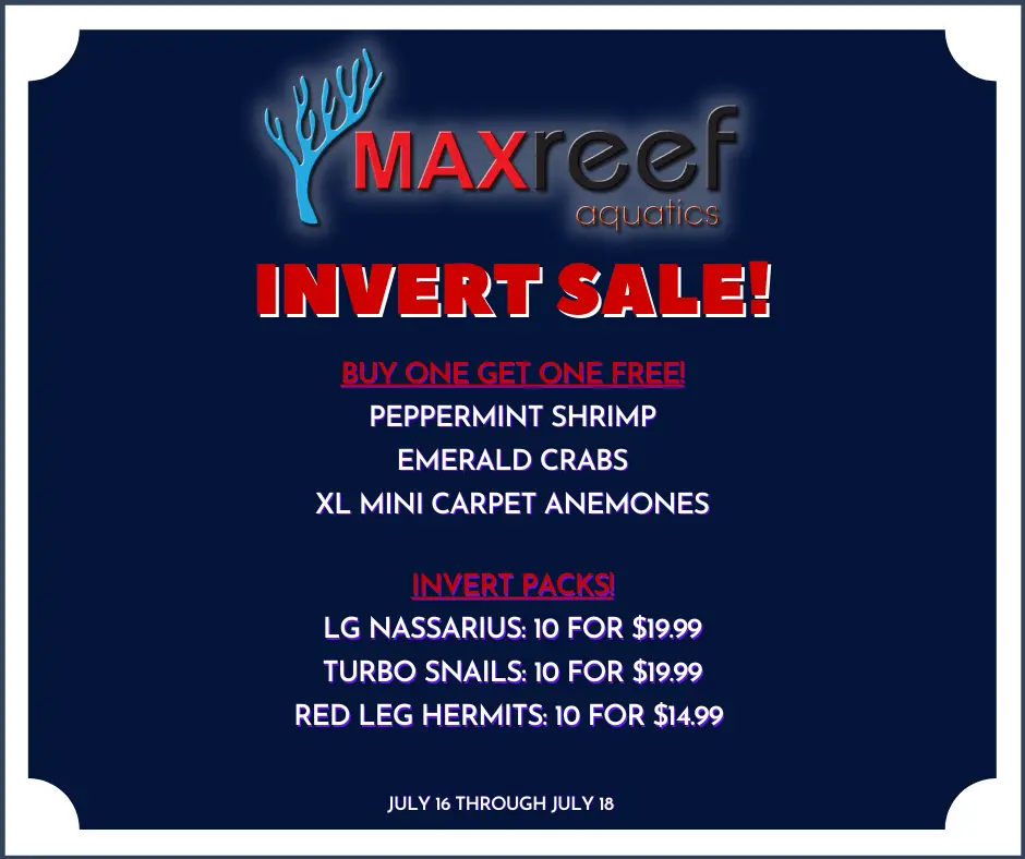 Max Reef Aquatics LLC