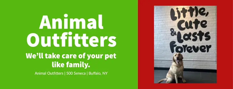 Animal Outfitters, Inc.