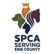 Company logo of SPCA Serving Erie County